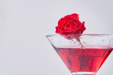 Close up red cocktail with flower and copy space. Isolated on white background.