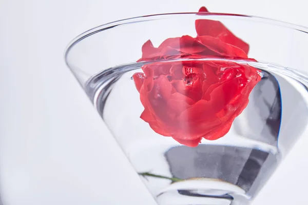 Close Red Flower Water Isolated White Transparent Cocktail Drink — 스톡 사진