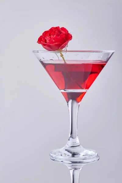Vertical Shot Red Cocktail Rose Flower Isolated White Background — 스톡 사진