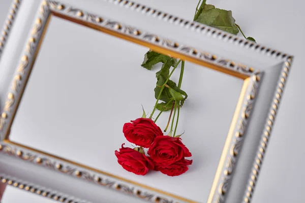 Close up bouquet of red roses behind picture frame. Isolated on white background.