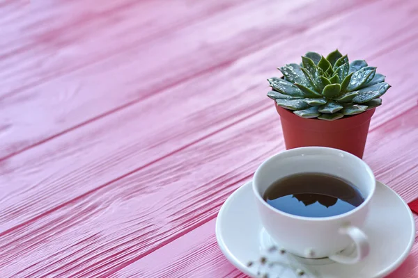 Cup Coffee Houseplant Droplets Copy Space Pink Wooden Desk — Photo