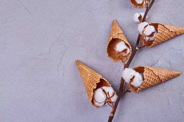 Cotton Flower Branch Ice Cream Cones Soft Fluffy Flower Copy — Fotografia de Stock