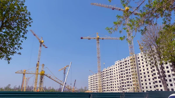 Vários Guindastes Amarelos Sobre Fundo Azul Céu Edifícios Árvores Inacabados — Fotografia de Stock