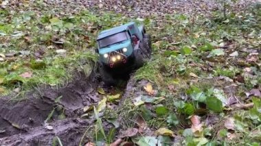 RC toy vehicle passing through trench with wet soil. Radio control flatbed towing truck on rough terrain. Grass and leaves.