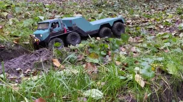 Toy Vehicle Bumpy Wet Ground Grass Leaves Flatbed Towing Truck — Vídeo de stock