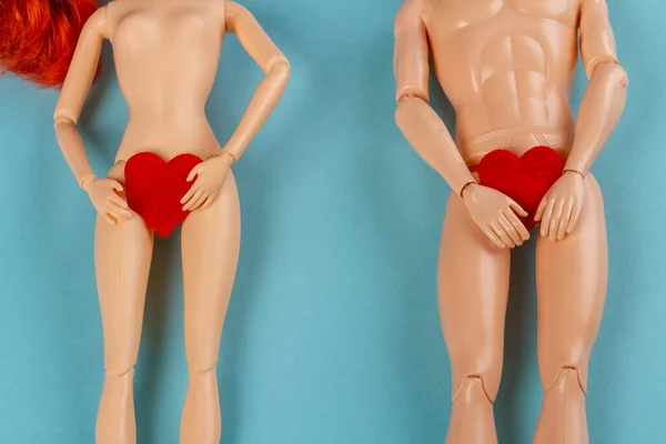 Naked male and female dolls holding red hearts covering thier groin. Love or valentines day concept. Blue background with copy space.