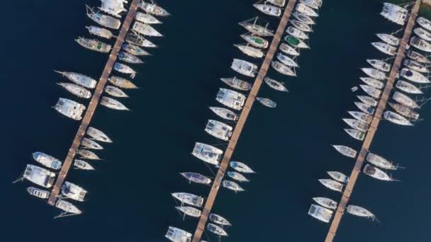 Vue Dessus Port Avec Nombreux Bateaux Sur Surface Eau Bleue — Video