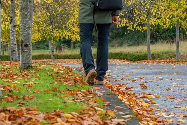 Sonbaharda yolda yürüyen bir adam, yarı vücut..