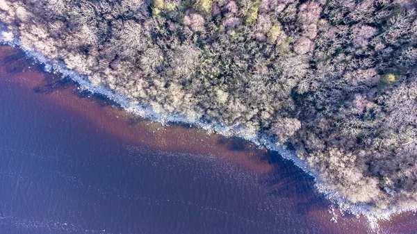 Aerial view of a forest lake. Aerial view of lake and forest boarder on a sunny summer day. Drone photography. — Fotografia de Stock