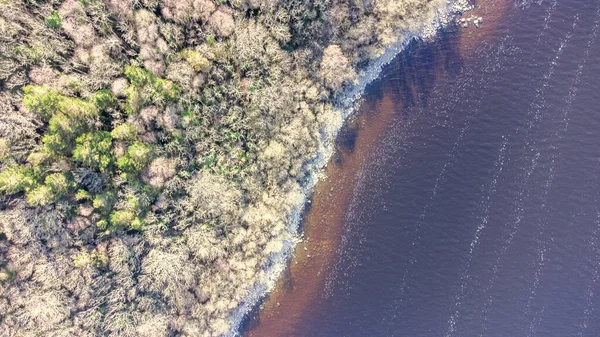 Luftaufnahme Eines Waldsees Drohnenfotografie Wald Und See Grenzen Aneinander Küstenblick — Stockfoto