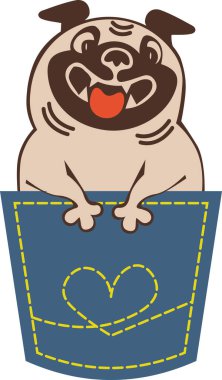 Funny animal character pug dog peeps out the pocket drawing in flat style vector Funny animal character pug dog peeps out the pocket drawing in flat style vector