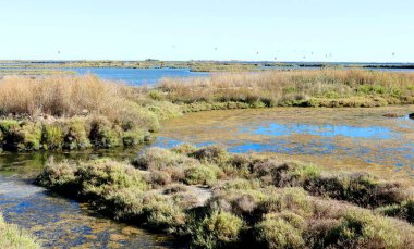 Vista de la laguna de La Tancada desde su observatorio en el Delta del Ebro. Amposta, Catalunya. 