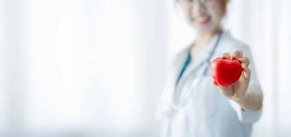 Female Doctor Standing Holding Small Red Heart Hospital Cardiologist Modern — Stok fotoğraf