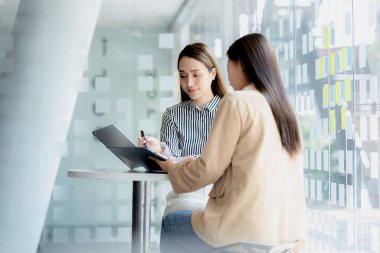 Bilgisayarlarındaki bilgilere bakan iki kadın, beyin fırtınası ve uygulama planlarını tartışan iki iş kadını, bir girişim kurmak için ortaklık kuruyorlar. Girişim şirketinin yönetim kavramı.