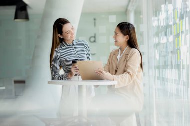 Bilgisayarlarındaki bilgilere bakan iki kadın, beyin fırtınası ve uygulama planlarını tartışan iki iş kadını, bir girişim kurmak için ortaklık kuruyorlar. Girişim şirketinin yönetim kavramı.