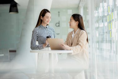 Bilgisayarlarındaki bilgilere bakan iki kadın, beyin fırtınası ve uygulama planlarını tartışan iki iş kadını, bir girişim kurmak için ortaklık kuruyorlar. Girişim şirketinin yönetim kavramı.