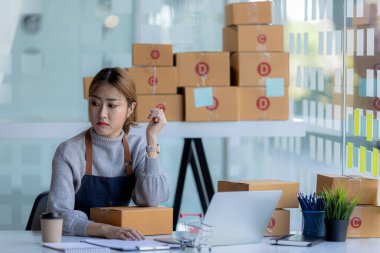 Çevrimiçi mağaza sahipleri, satışların azaltılması, satışların artırılması, promosyonlar yapılması, iş planlaması gibi daha düşük gelirlere yol açtıktan sonra vurgulanıyor. Çevrimiçi satış ve online alışveriş kavramları.