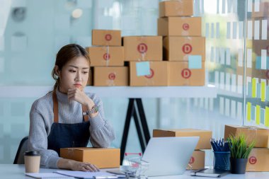 Çevrimiçi mağaza sahipleri, satışların azaltılması, satışların artırılması, promosyonlar yapılması, iş planlaması gibi daha düşük gelirlere yol açtıktan sonra vurgulanıyor. Çevrimiçi satış ve online alışveriş kavramları.