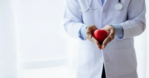 Doctor Holding Fake Red Heart Treating Heart Disease Specialist Giving — Stok fotoğraf