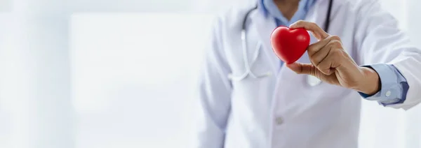 Doctor Holding Fake Red Heart Treating Heart Disease Specialist Giving — Stok fotoğraf