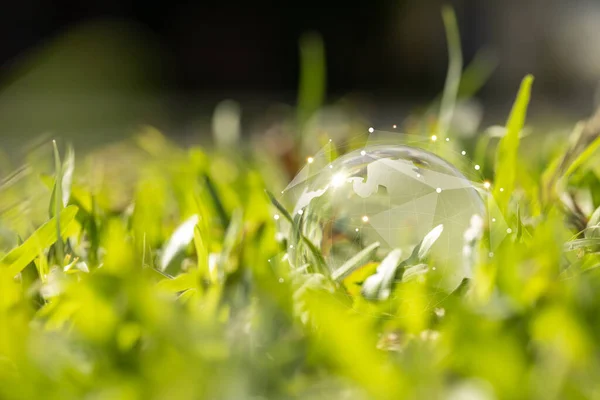 Crystal globe placed on green grass, communication network connection and global energy consumption, environmental protection, energy reduction campaign to reduce global warming and protect the planet