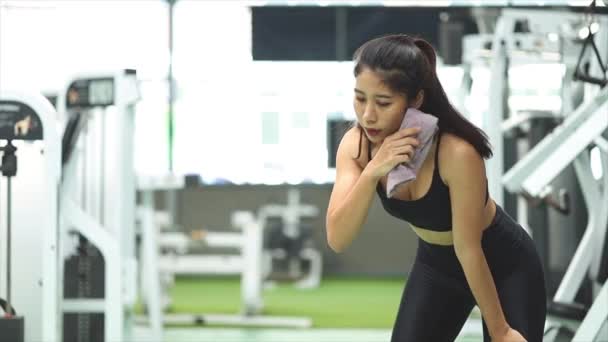 Donne Asiatiche Che Fanno Esercizi Fitness Esercizi Rafforzare Muscoli Forza — Video Stock