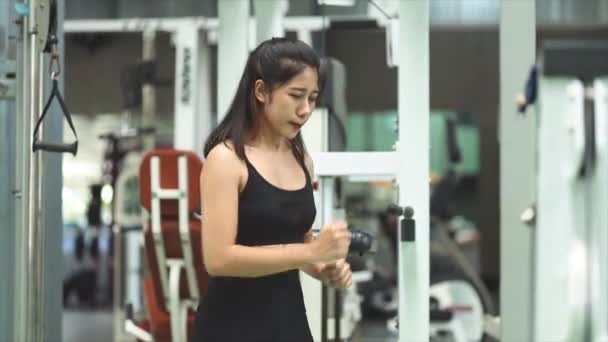 Wanita Asia Yang Melakukan Latihan Kebugaran Latihan Untuk Memperkuat Otot — Stok Video