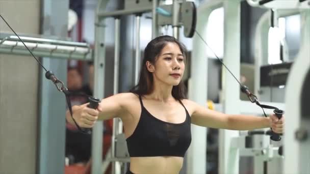 Fitness Egzersizleri Yapan Asyalı Kadınlar Kas Kuvveti Güçlendirmek Için Egzersizler — Stok video
