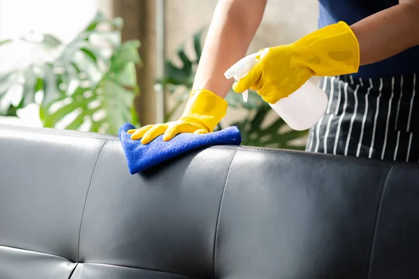 Person cleaning the room, cleaning staff is using cloth and spraying disinfectant to wipe the sofas in the company office room. Cleaning staff. Maintaining cleanliness in the organization.