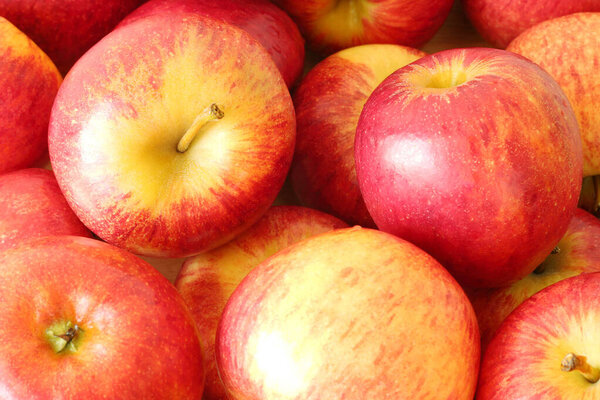 Спелые красные яблоки на заднем плане.