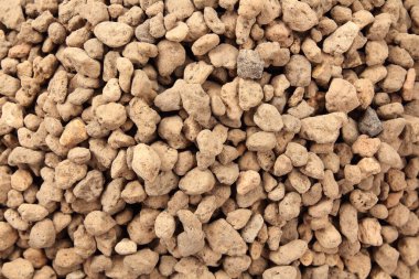 Saksı kaktüsü ya da sulu ve süs bitkisi için sünger taşı manzarası.