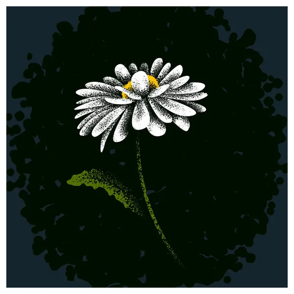Fleur Camomille Sur Fond Sombre — Image vectorielle