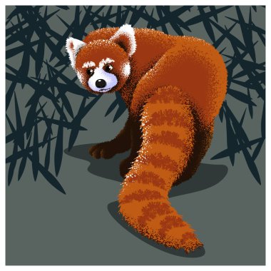 Tatlı kırmızı panda. Vektör illüstrasyonu