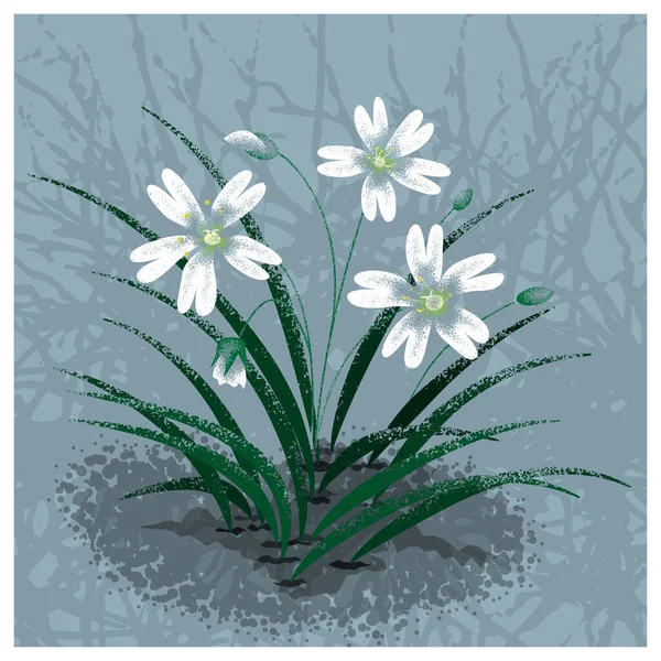 Bílá Jarní Květiny Vektorové Ilustrace Stock Ilustrace