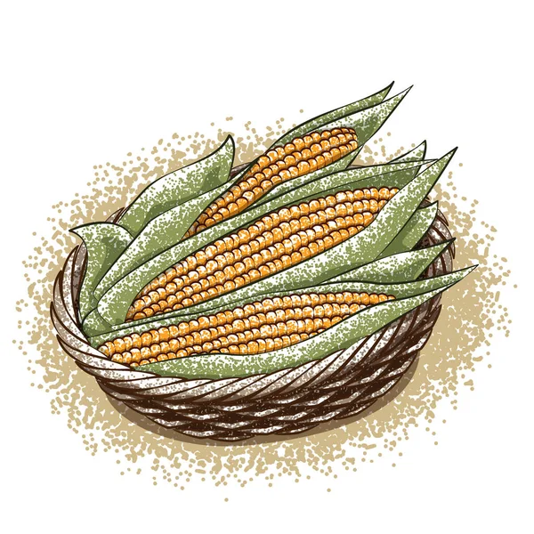 Corn Basket — Stock Vector