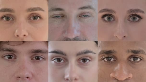 Collage aus blinkenden Augen von Menschen, die in die Kamera schauen — Stockvideo