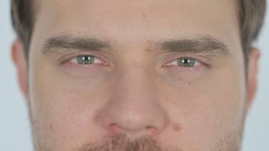 Face of Serious Young Adult Man on White Background