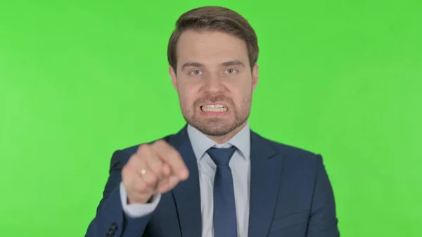 Angry Young Adult Businessman Arguing Green Background — Photo