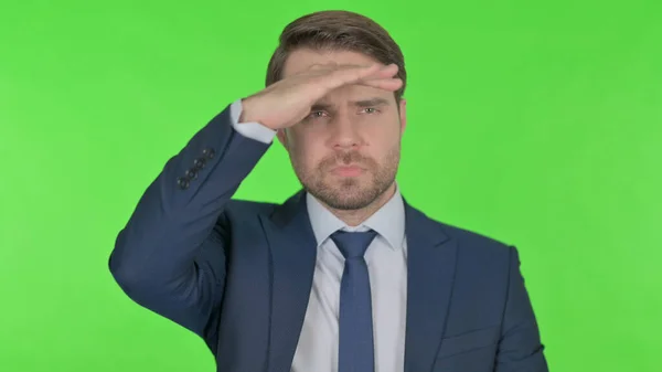 Young Adult Businessman Looking Searching Green Screen — Stock Fotó