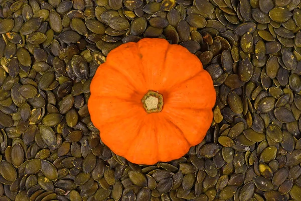 Kis Narancs Tök Zöld Tökmaggal Körülvéve — Stock Fotó