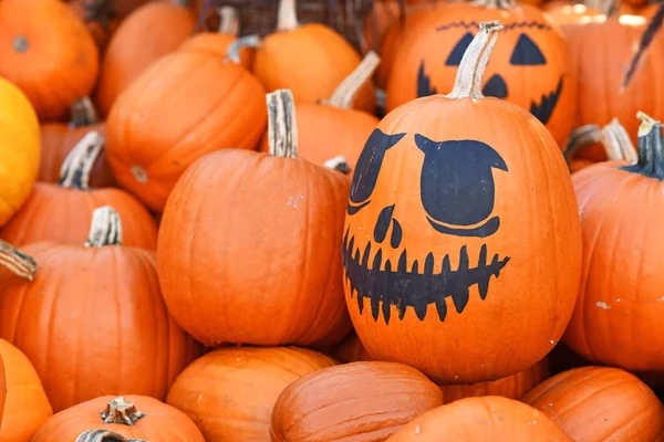 Grande Abóbora Halloween Laranja Com Rosto Pintado Jack Lanterna — Fotografia de Stock