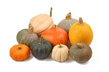 Beyaz arka planda farklı renkte balkabakları ve kabakların karışımı