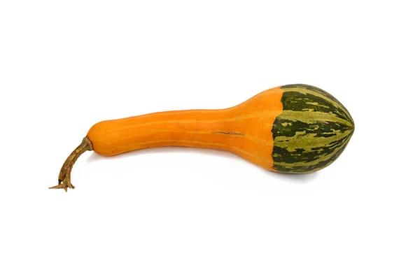 Gul Och Grön Crookneck Gourd Vit Bakgrund — Stockfoto