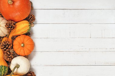 Sonbahar yapraklı farklı mevsimlik balkabakları ve kabakları ve beyaz ahşap arka planda kopyalanmış köknar kozalakları.