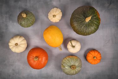 Gri arka planda çeşitli kabak, kabak ve kabak düzenlemeleri 