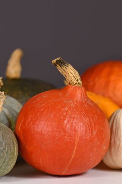 Kırmızı Hokkaido kabak kabağı Gri duvarın önünde