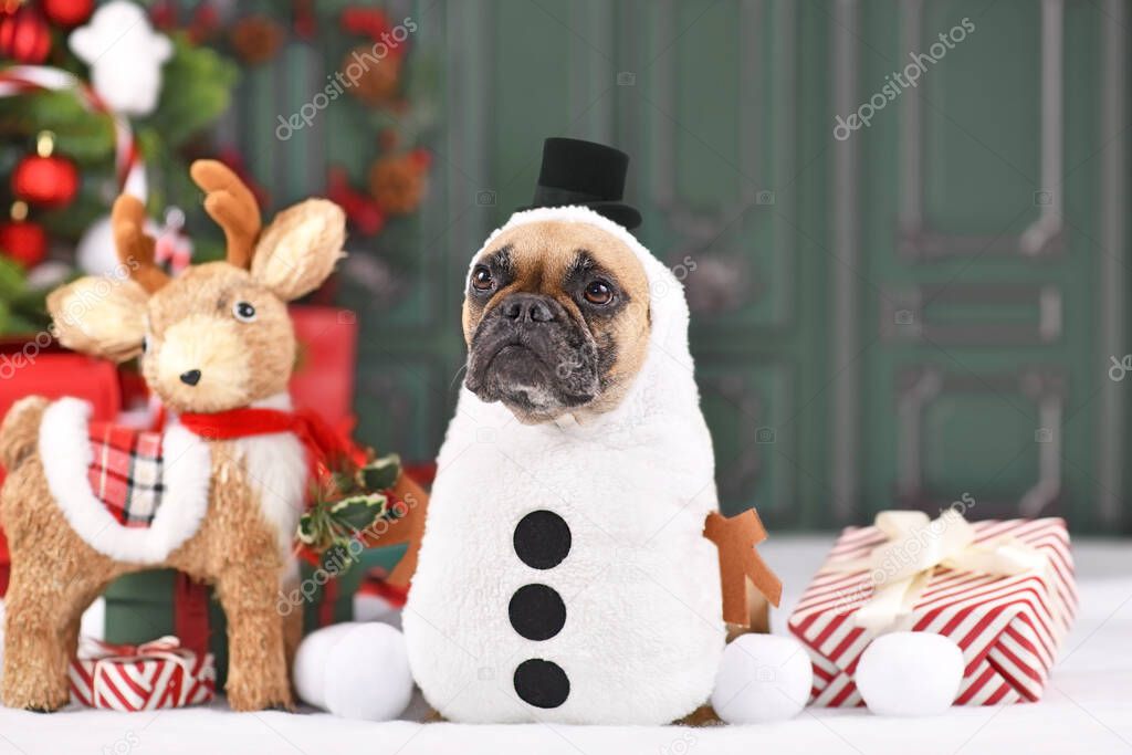 Funny French Bulldog dog wearing snowman winter costume with stick arms and top hat surrounded by Christmas decoration