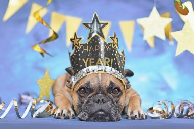 Yeni yıl partisi Fransız Bulldog 'u taç takıyor ve mavi arka plandaki altın flamalar arasında 