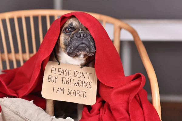 French Bulldog Dog Sign Please Don Buy Fireworks Scared Hiding — Stock Photo, Image