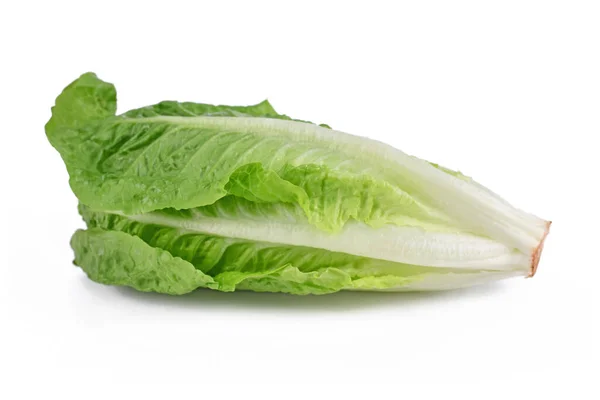 Romaine Lettuce Vegetable White Background — Stock fotografie